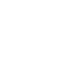 Logo ICE