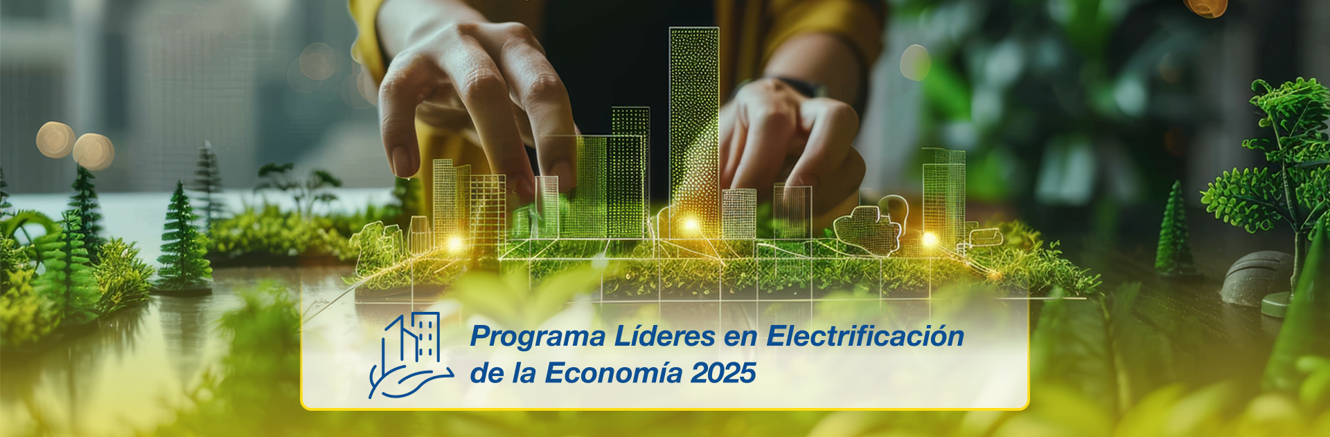 Programa Líderes en Electrificación de la Economía 2025