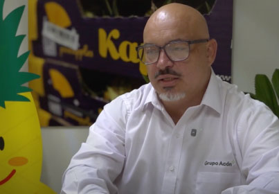  Representante Grupo Acón