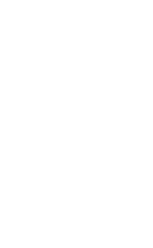 Cargador rápido