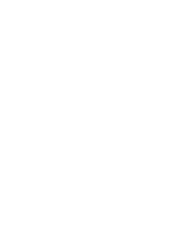 Cargador Semi-rápido